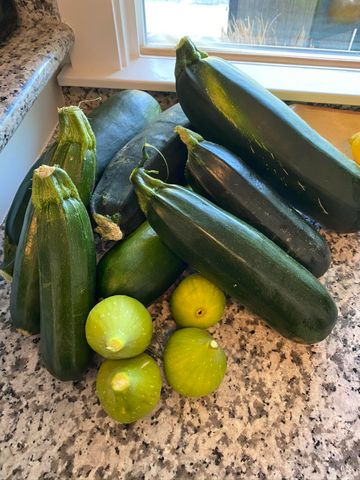 349 Lindero Avenue, Medford, OR 97504