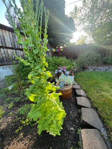 349 Lindero Avenue, Medford, OR 97504