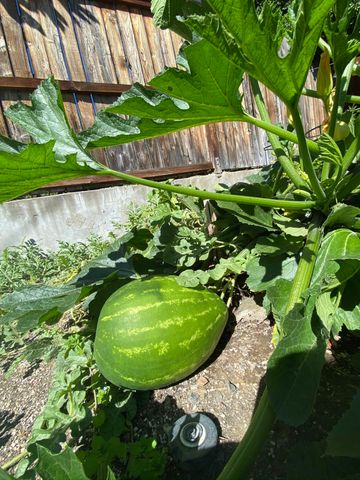 349 Lindero Avenue, Medford, OR 97504