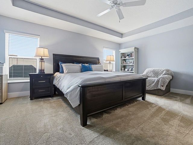 4258 WIDMANN PLACE, The Villages, FL 32163