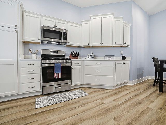 4258 WIDMANN PLACE, The Villages, FL 32163