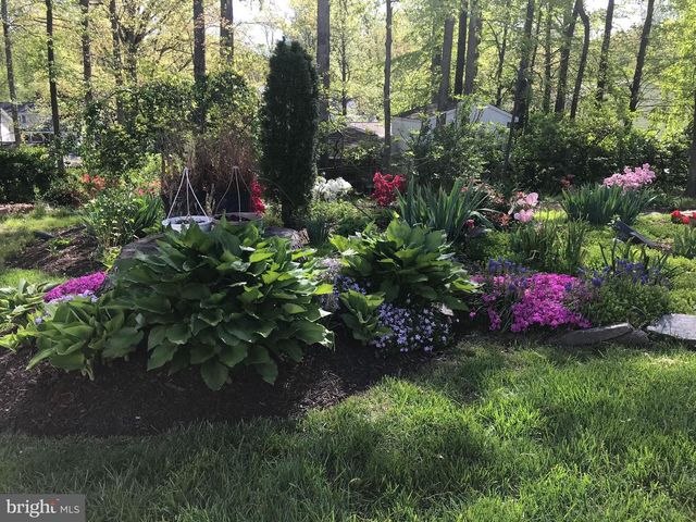 6607 GREY FOX DR, Springfield, VA 22152