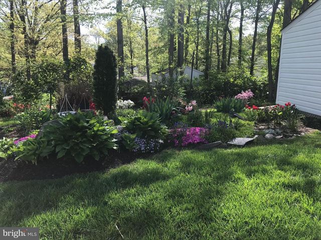 6607 GREY FOX DR, Springfield, VA 22152