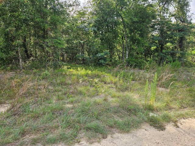 TBD NE 153RD AVENUE, Williston, FL 32696