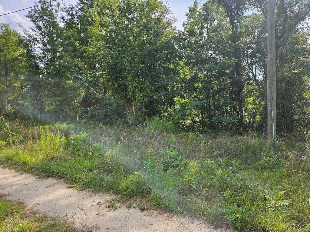 TBD NE 153RD AVENUE, Williston, FL 32696