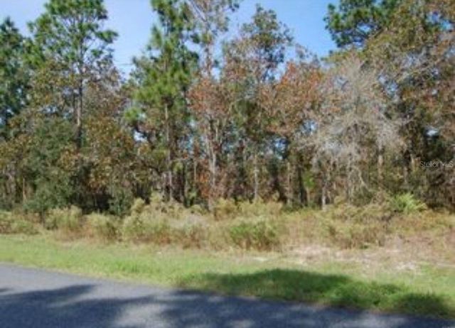 2084 W RILEY DRIVE, Citrus Springs, FL 34434