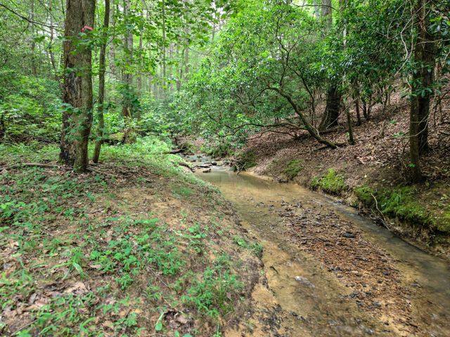 188 New Home Loop, Trenton, GA 30752