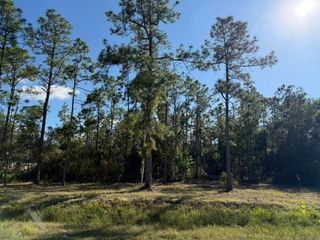 2596 56th AVE NE, Naples, FL 34120