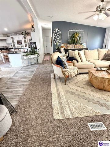 295 Casablanca Court, Cecilia, KY 42724