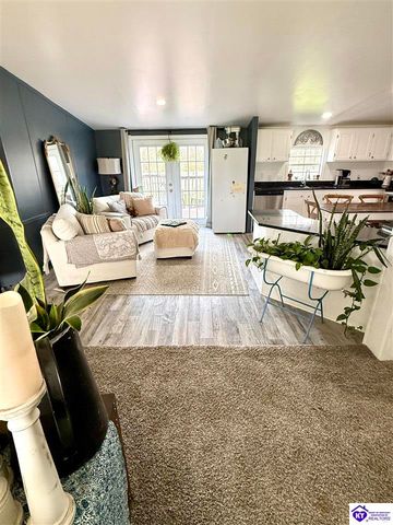 295 Casablanca Court, Cecilia, KY 42724