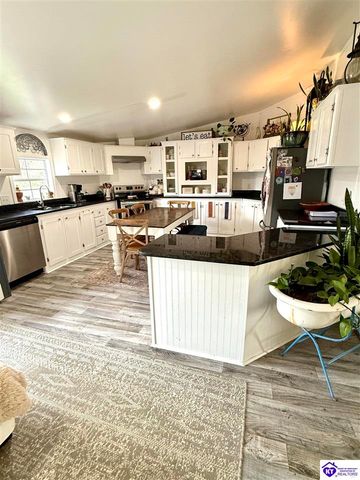 295 Casablanca Court, Cecilia, KY 42724