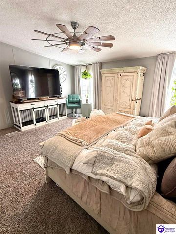 295 Casablanca Court, Cecilia, KY 42724