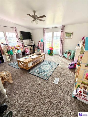 295 Casablanca Court, Cecilia, KY 42724