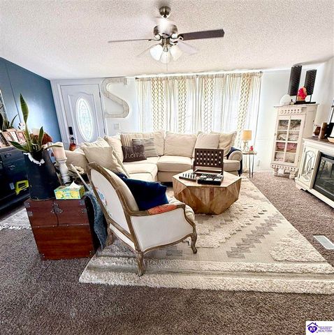 295 Casablanca Court, Cecilia, KY 42724