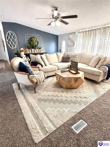 295 Casablanca Court, Cecilia, KY 42724