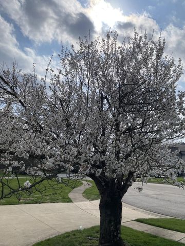 1952 Sherring Court, Reynoldsburg, OH 43068