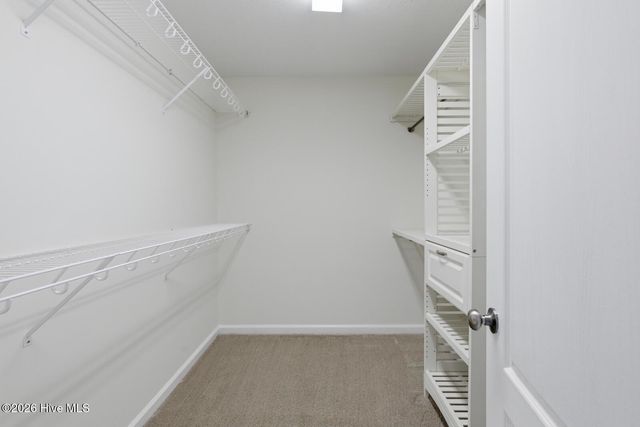 155 Prelude Drive, Richlands, NC 28574