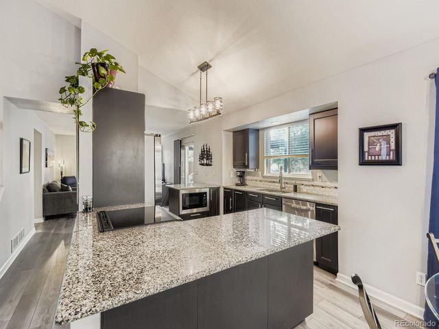 10647 Apishamore Ct, Parker, CO 80134