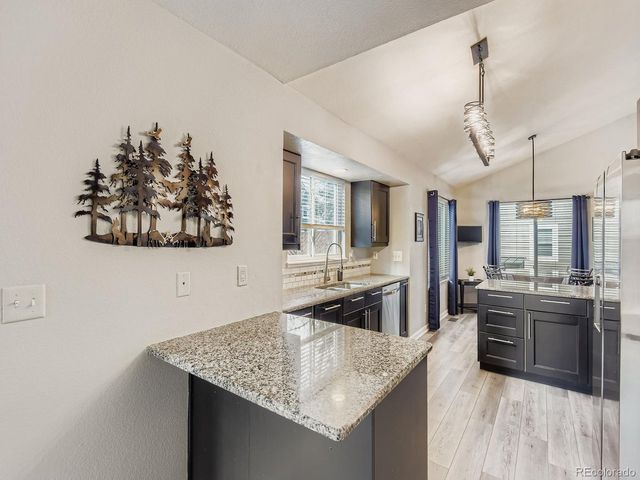 10647 Apishamore Ct, Parker, CO 80134