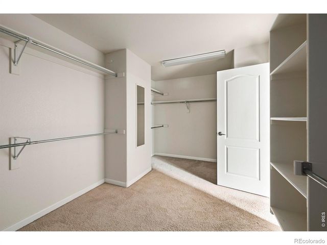3110 Tradewind Court, Loveland, CO 80538