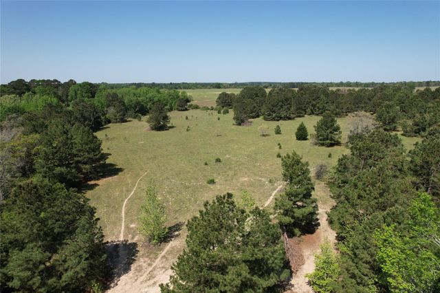 2954 Cr 2170, Grapeland, TX 75844
