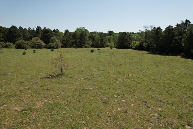 2954 Cr 2170, Grapeland, TX 75844