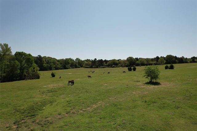 2954 Cr 2170, Grapeland, TX 75844