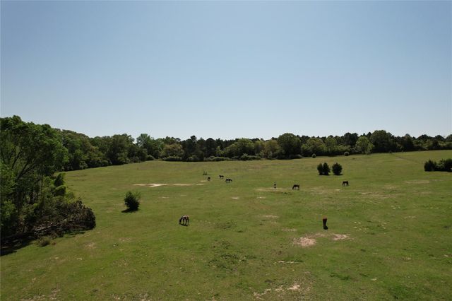 2954 Cr 2170, Grapeland, TX 75844