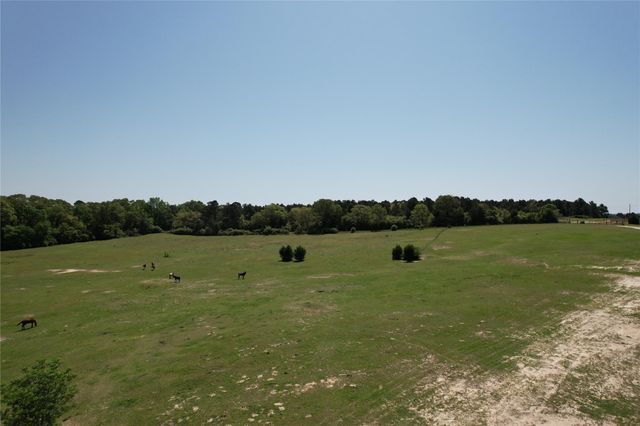 2954 Cr 2170, Grapeland, TX 75844
