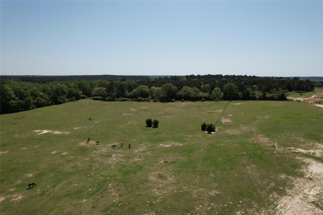 2954 Cr 2170, Grapeland, TX 75844