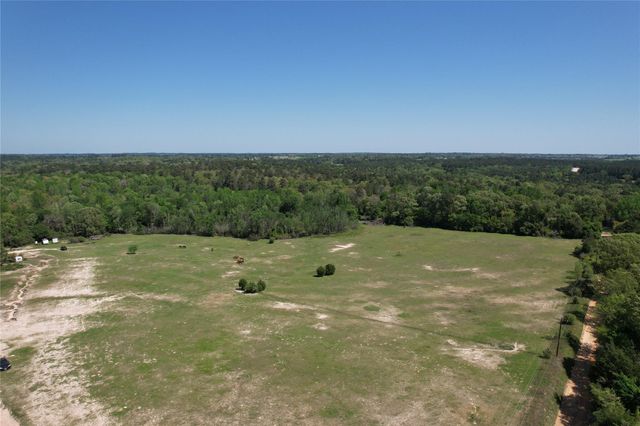 2954 Cr 2170, Grapeland, TX 75844