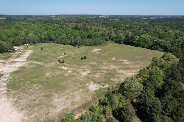 2954 Cr 2170, Grapeland, TX 75844
