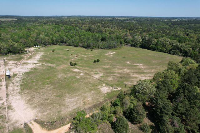 2954 Cr 2170, Grapeland, TX 75844