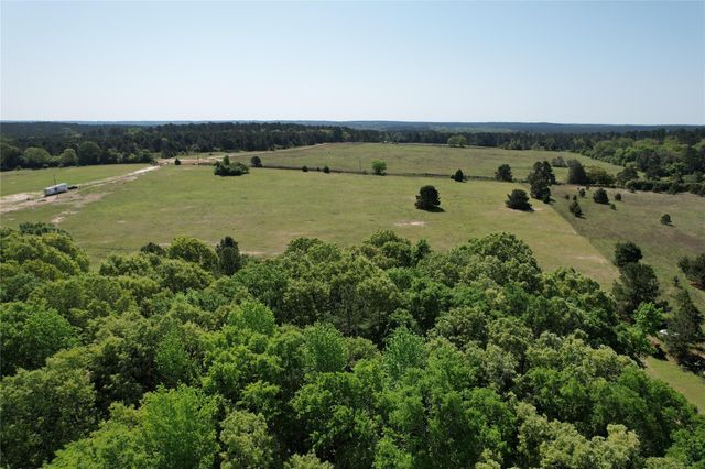 2954 Cr 2170, Grapeland, TX 75844