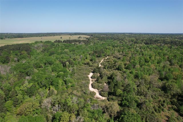 2954 Cr 2170, Grapeland, TX 75844