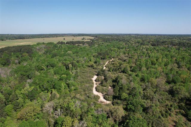 2954 Cr 2170, Grapeland, TX 75844