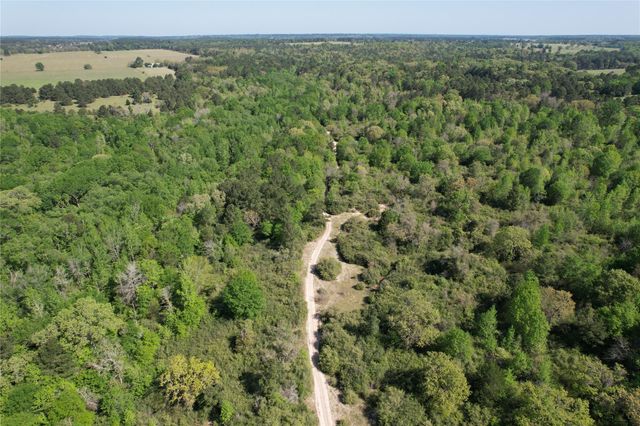 2954 Cr 2170, Grapeland, TX 75844
