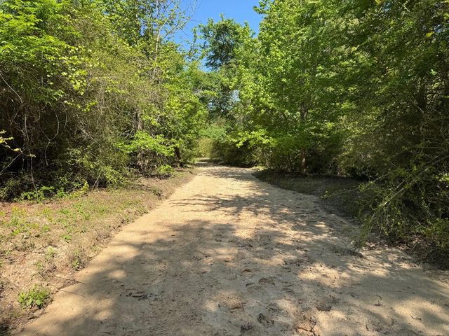 2954 Cr 2170, Grapeland, TX 75844