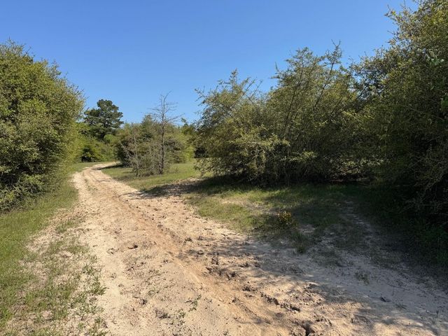 2954 Cr 2170, Grapeland, TX 75844