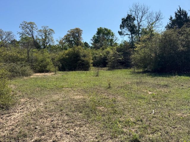 2954 Cr 2170, Grapeland, TX 75844