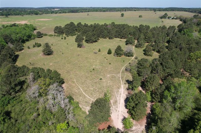 2954 Cr 2170, Grapeland, TX 75844