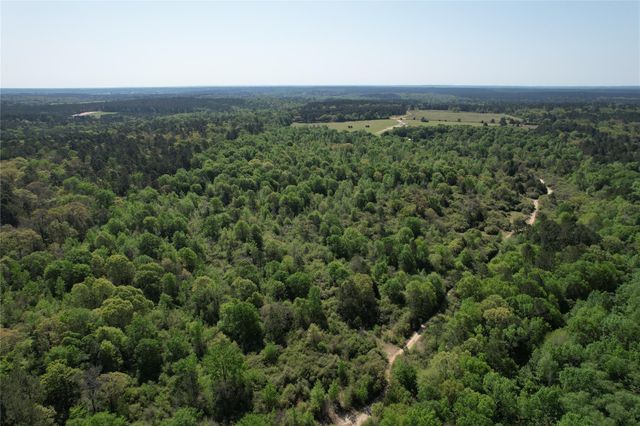 2954 Cr 2170, Grapeland, TX 75844