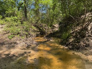 2954 Cr 2170, Grapeland, TX 75844