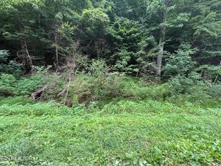 Ruritan Rd, Harriman, TN 37748