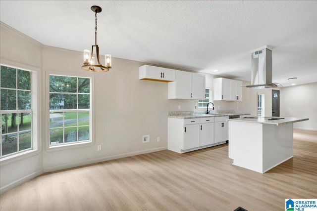294 MCGINNIS STREET, Springville, AL 35146