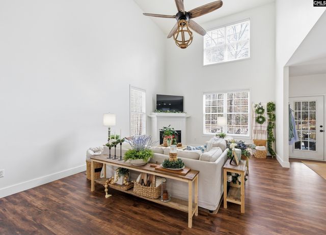 125 Mary Drive, Chapin, SC 29063