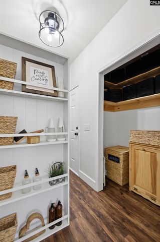 125 Mary Drive, Chapin, SC 29063