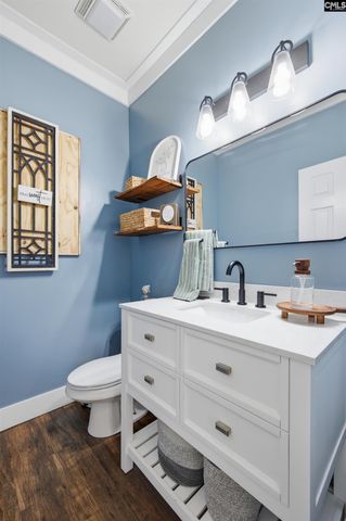 125 Mary Drive, Chapin, SC 29063