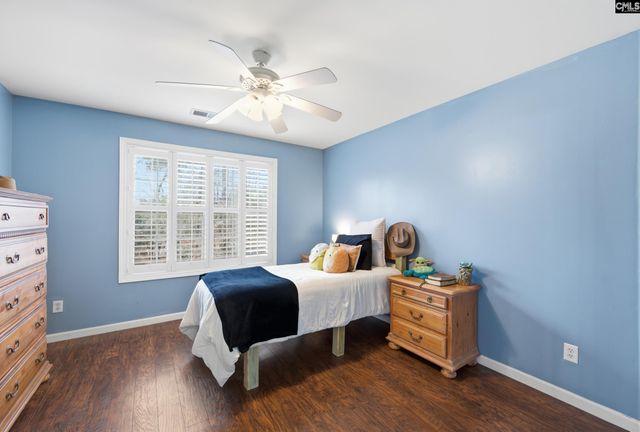 125 Mary Drive, Chapin, SC 29063