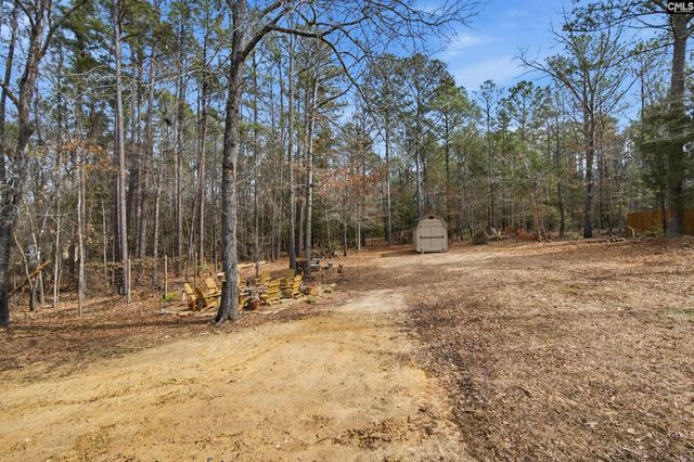 125 Mary Drive, Chapin, SC 29063